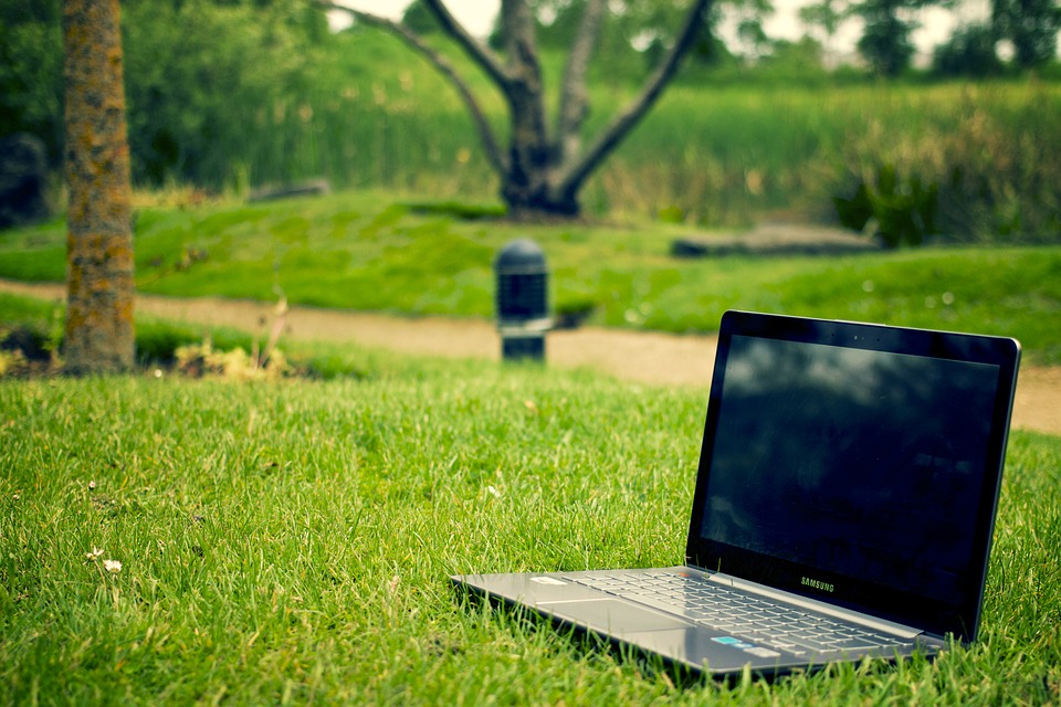 Laptop in Wiese