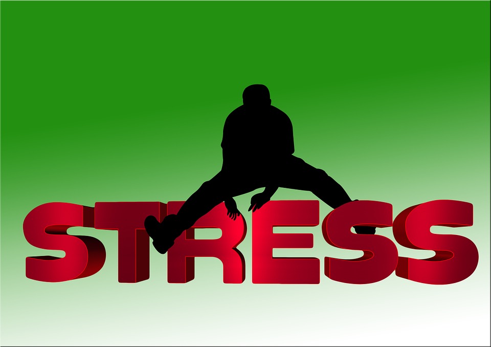Stress Schriftzug